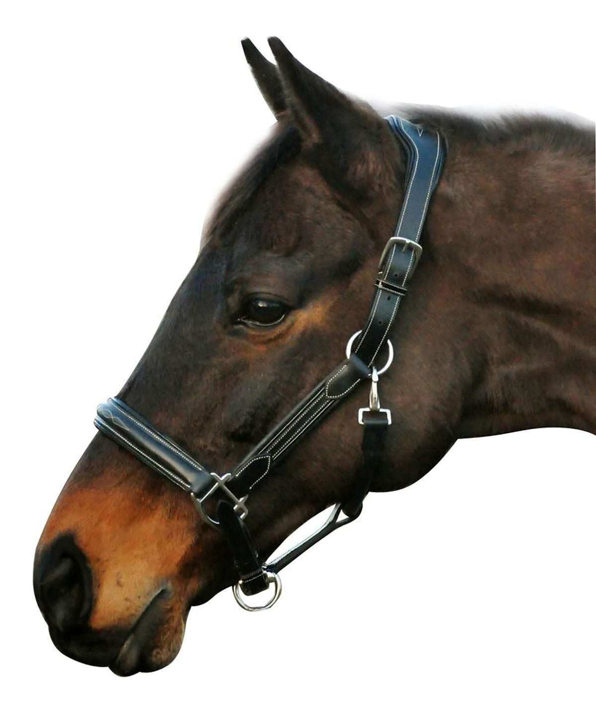 Stress Free Halter with Fancy Contrast Stitching