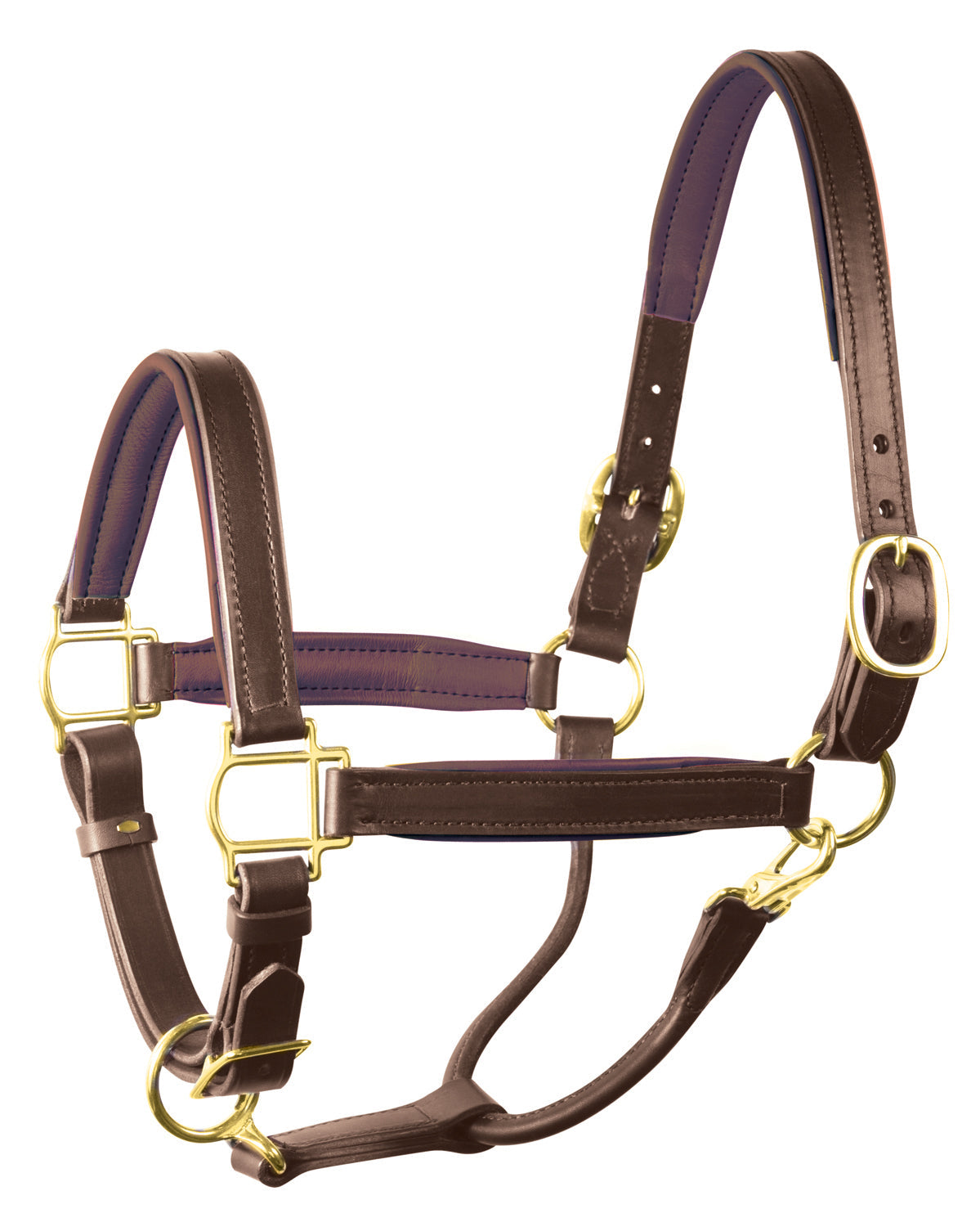 " Padded Leather Halter