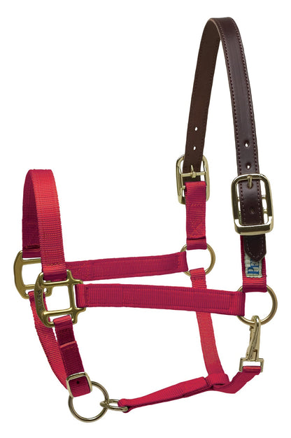 Premium Nylon Breakaway Halter
