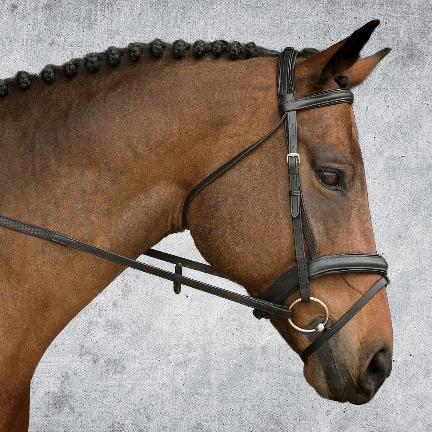 Single Crown Padded Dressage Bridle
