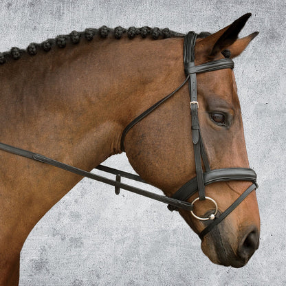 Single Crown Padded Dressage Bridle