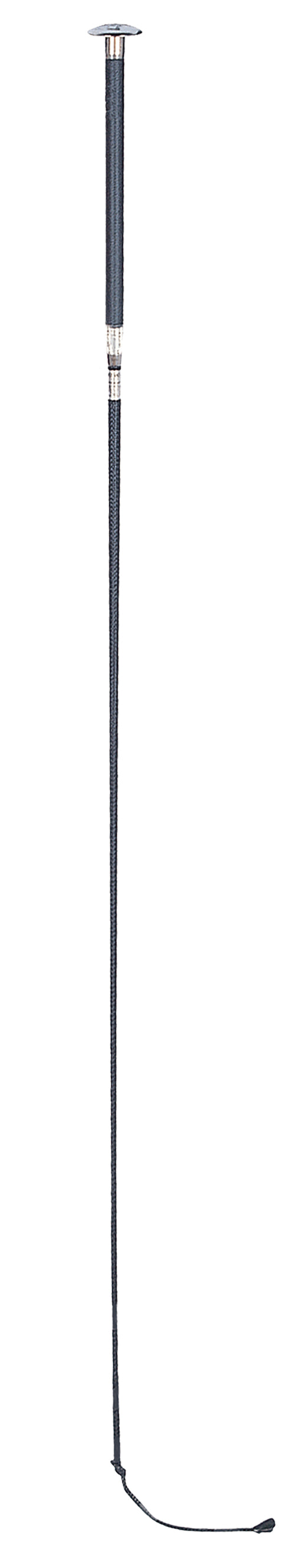Dressage Whip
