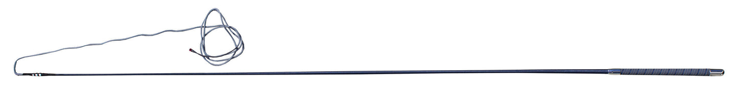 Color Lunge Whip