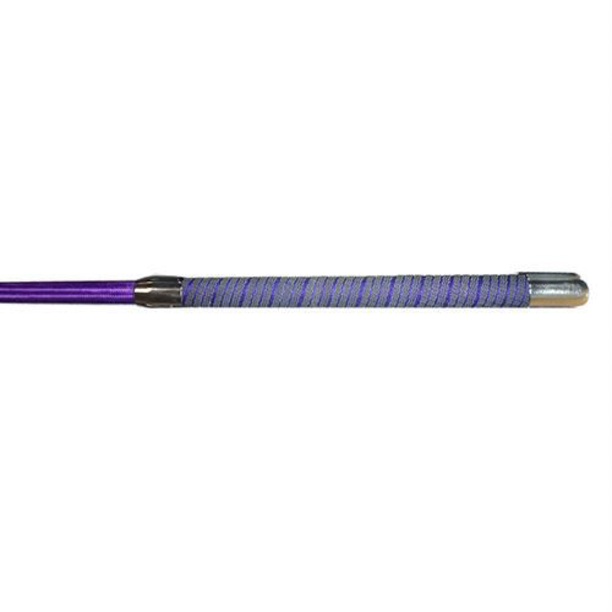 Color Lunge Whip