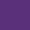 Color Lunge Whip