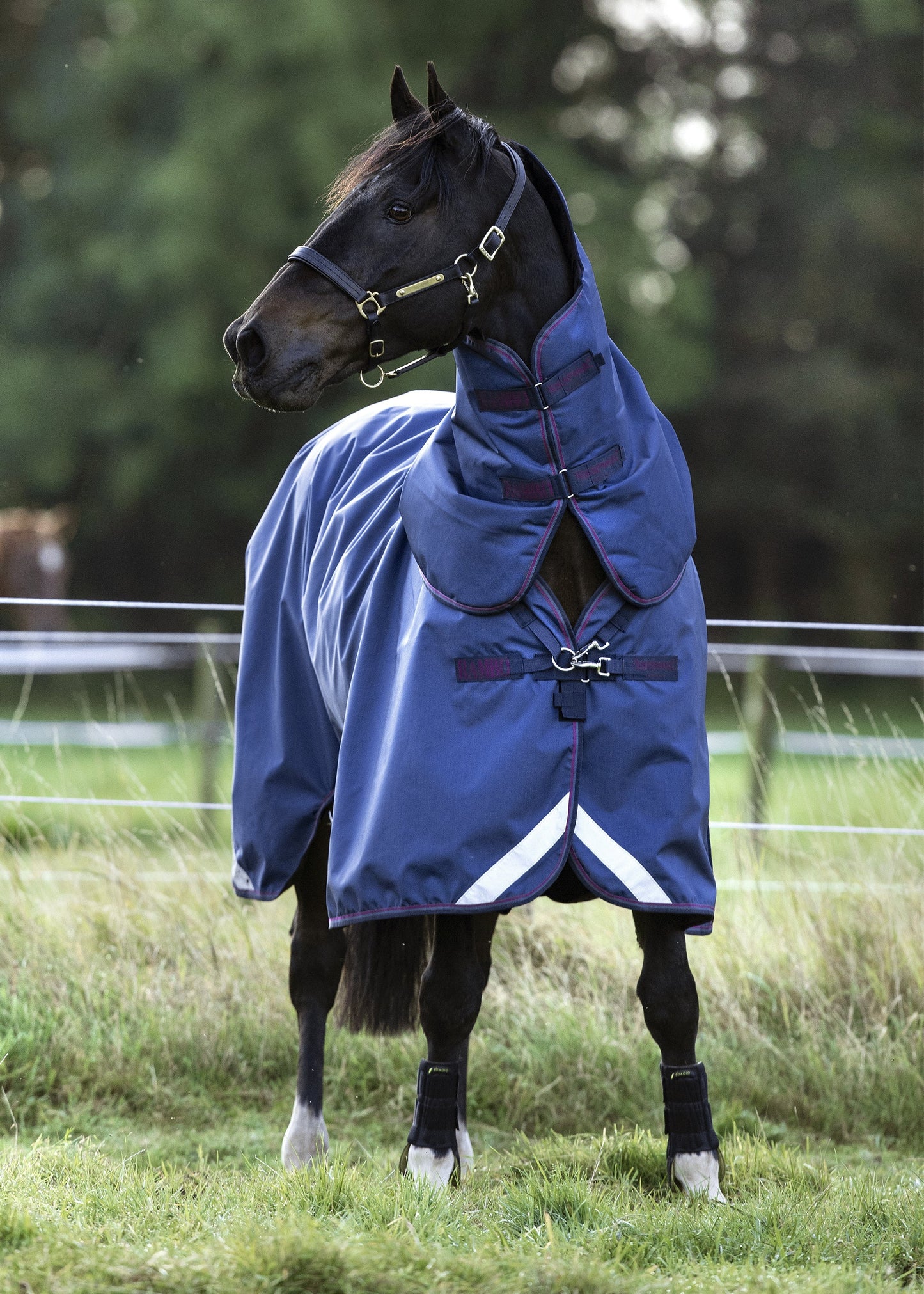 Optimo Turnout Blanket