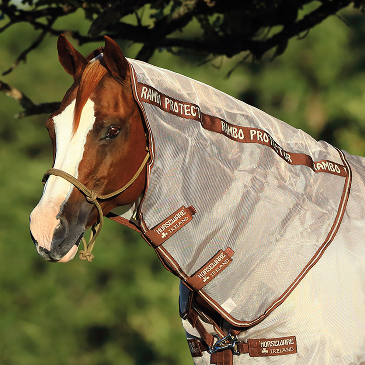 Protector Quarter Horse Optional Neck Cover
