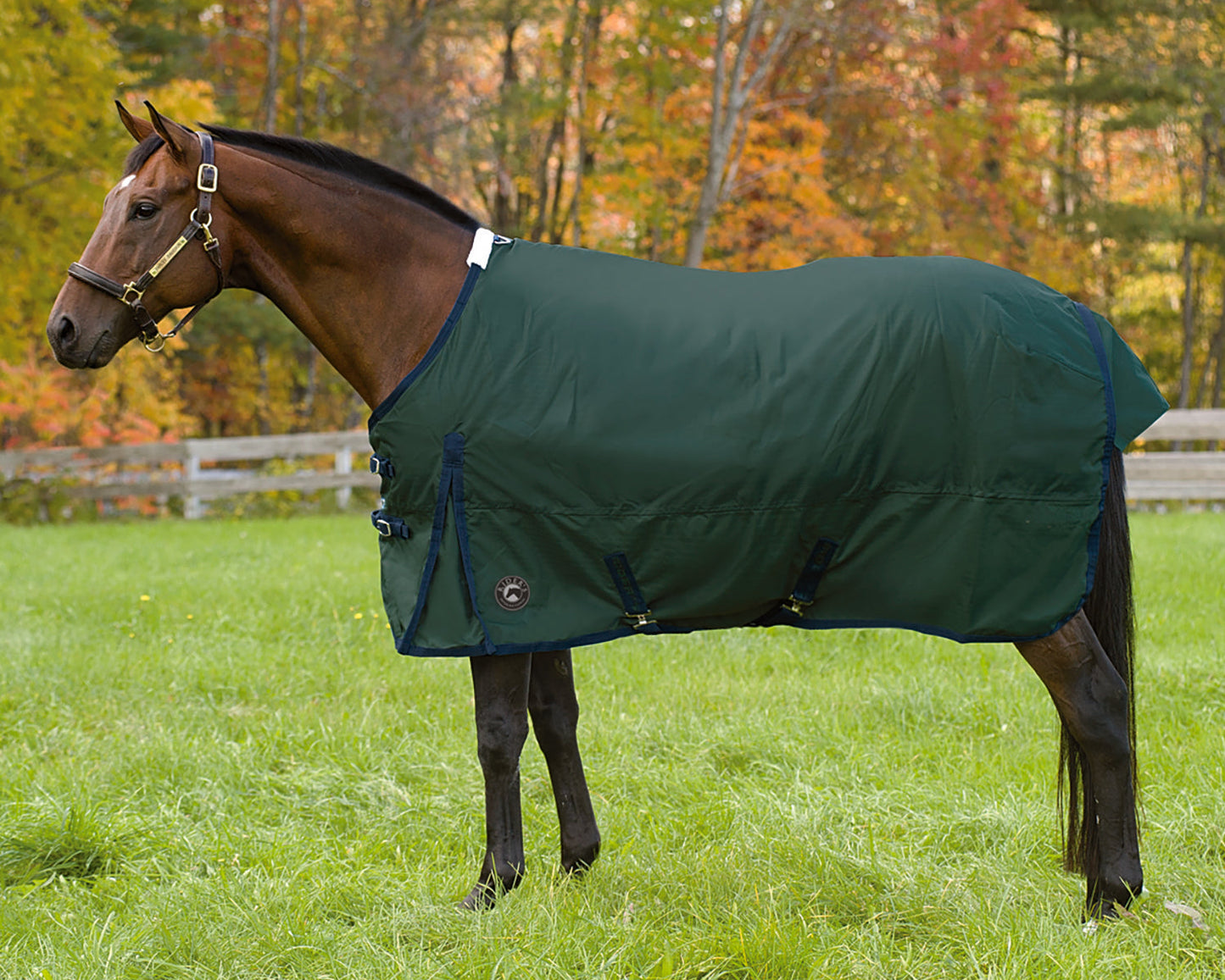 Supreme Medium-Weight Turnout Blanket