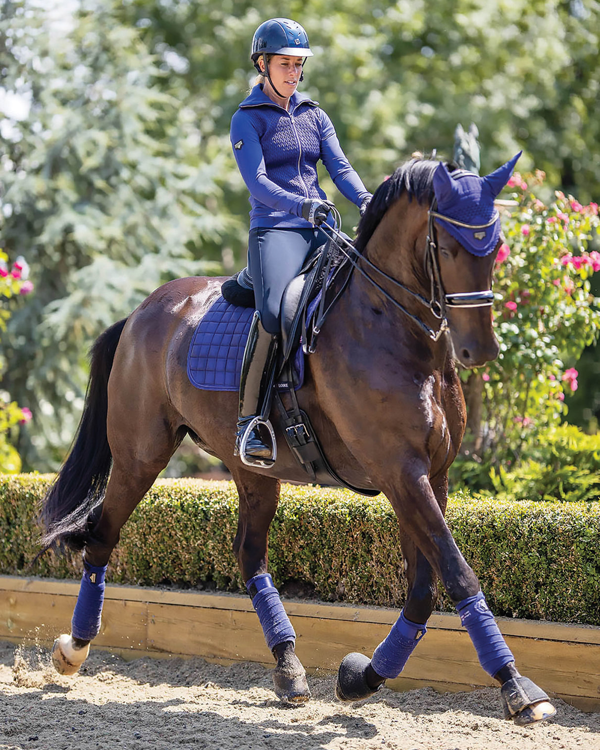 Loire Polo Bandages