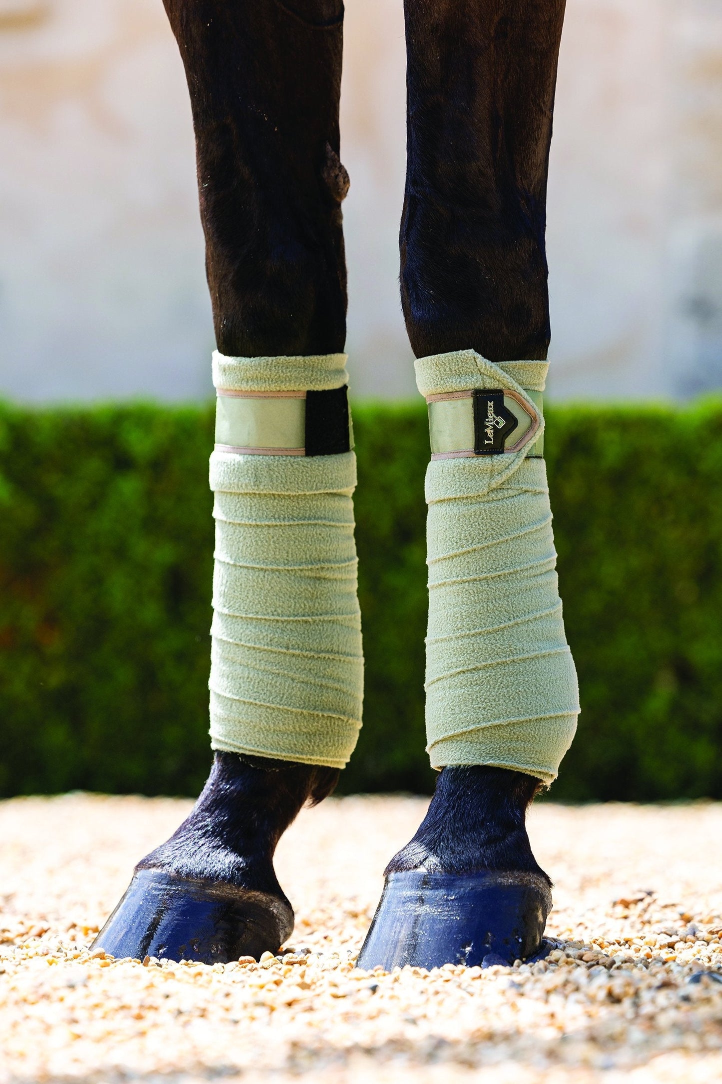 Loire Polo Wraps