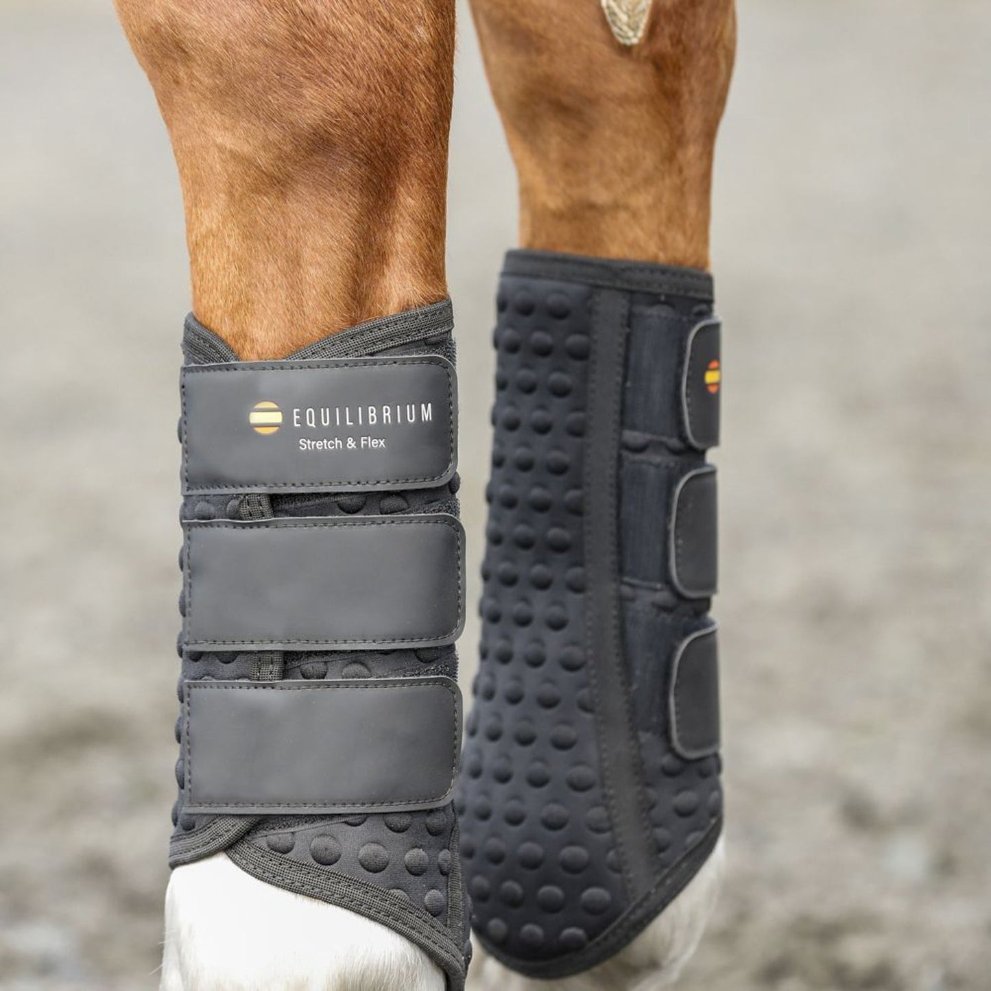 Equilibrium Stretch & Flex Training Wraps