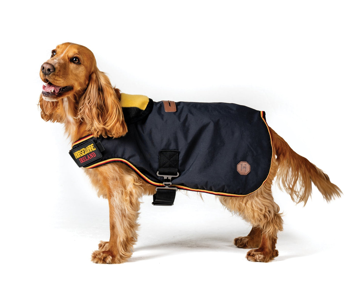 Ireland Newmarket Dog Coat L-XXXL