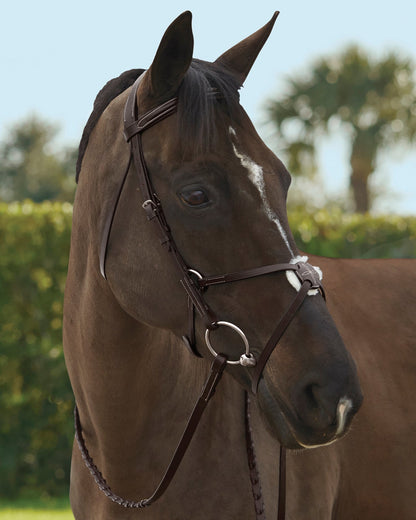 Figure-8 Noseband
