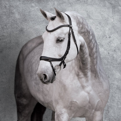 Equitus Alpha Bridle