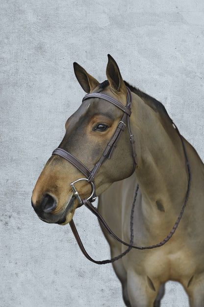 Pro Fancy-Stitched Wide Nose Bridle