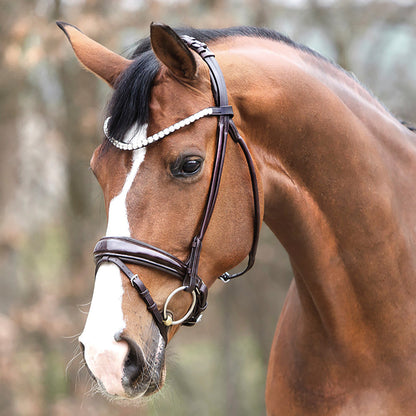Florina Bridle