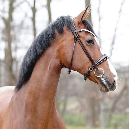Florina Bridle