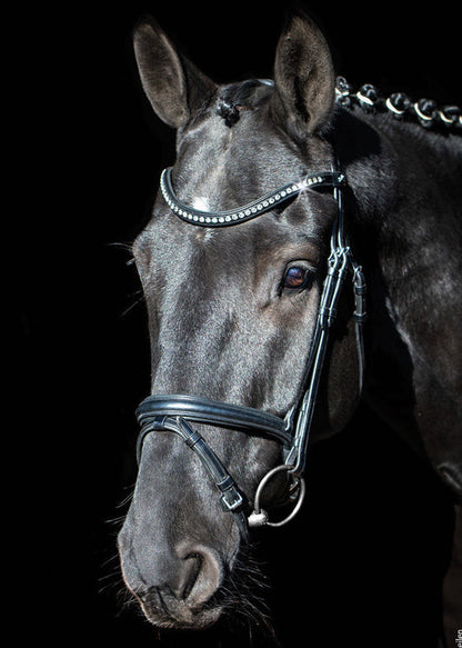 Rome Select Bridle