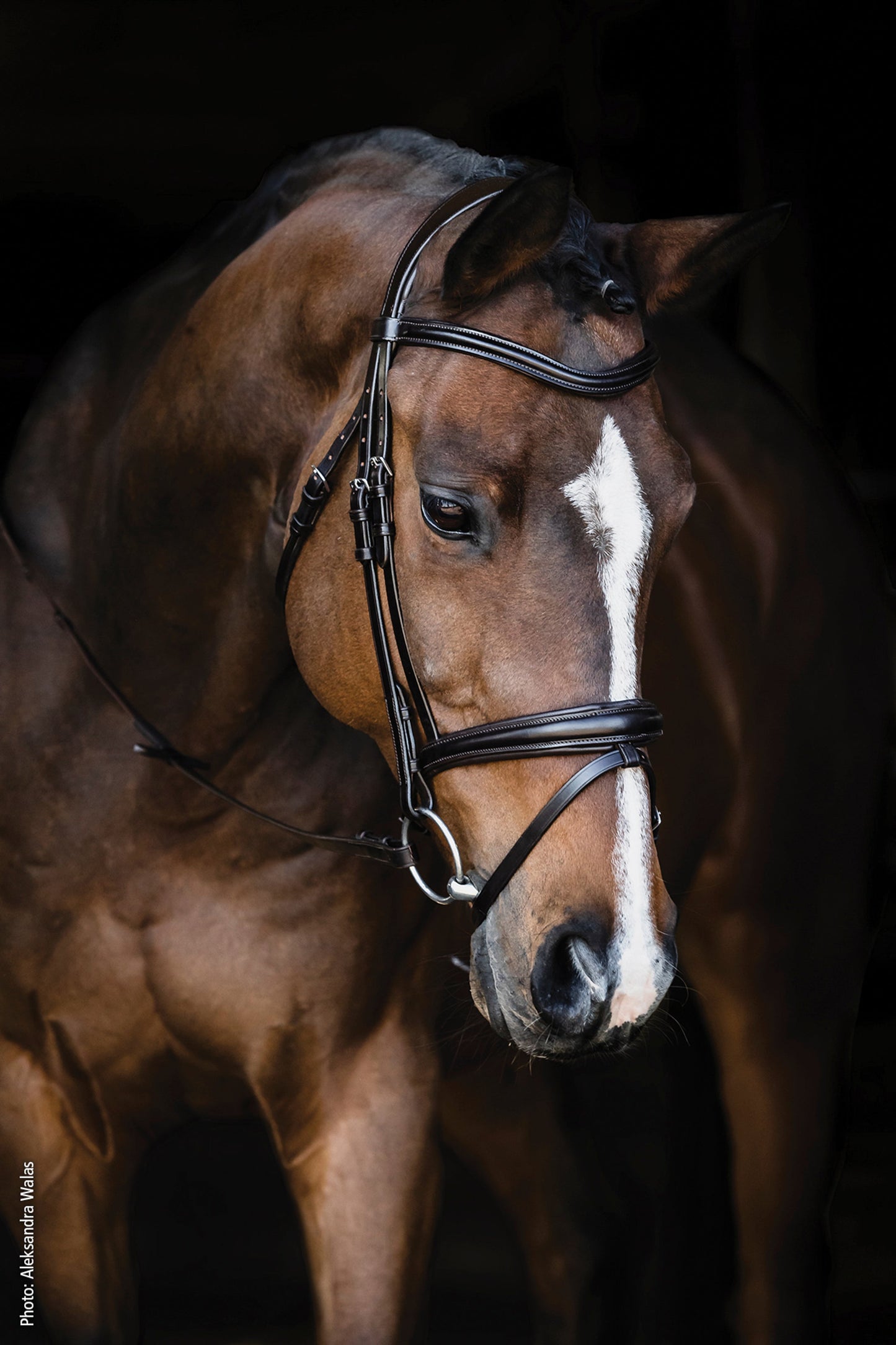 Monza Bridle