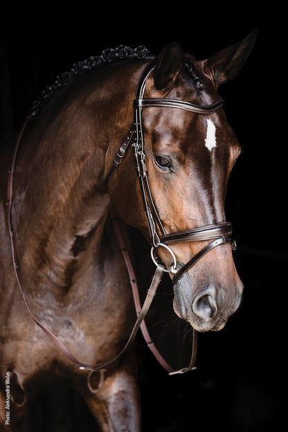 Monza Bridle