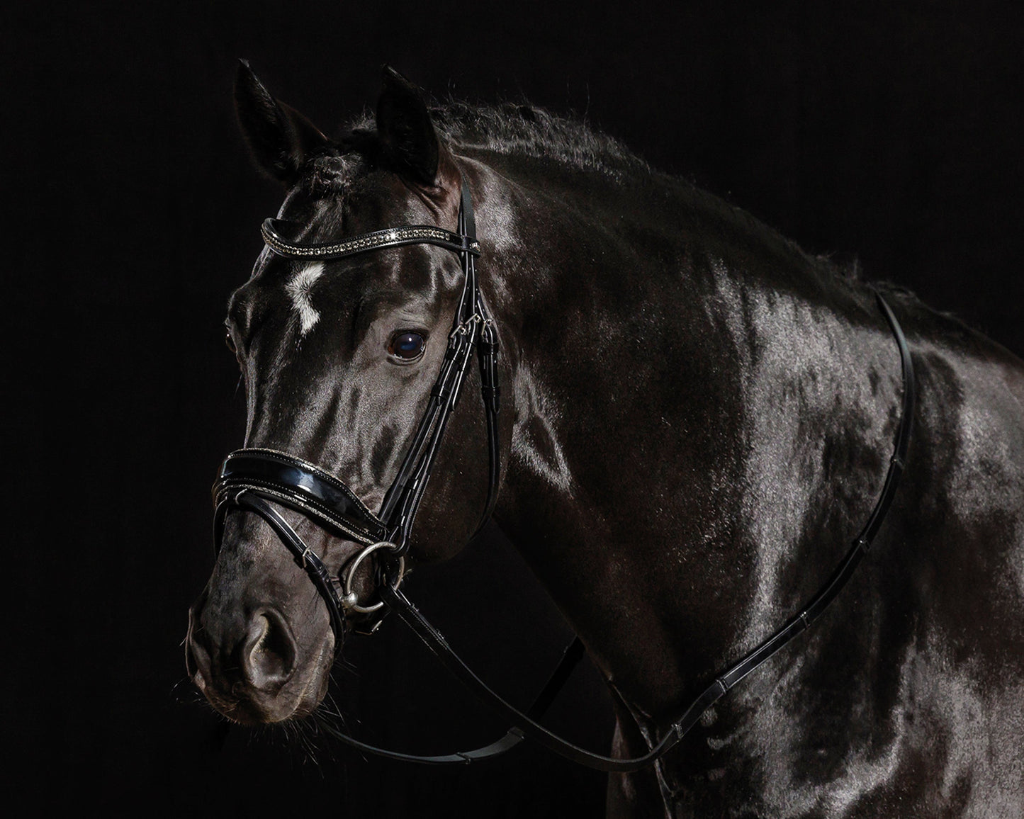 Standford Glam Bridle