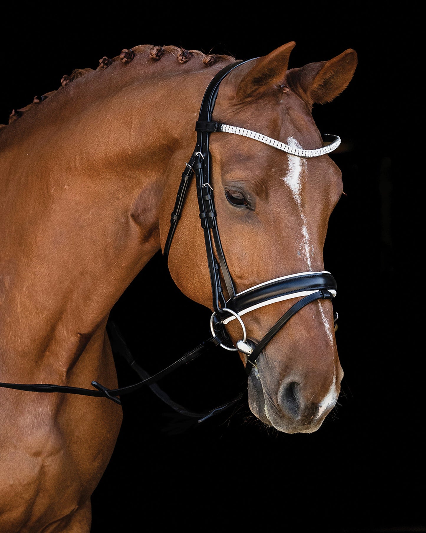 Malaga Bridle