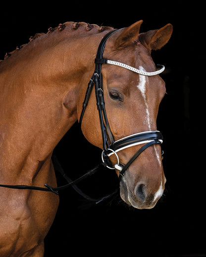 Malaga Bridle