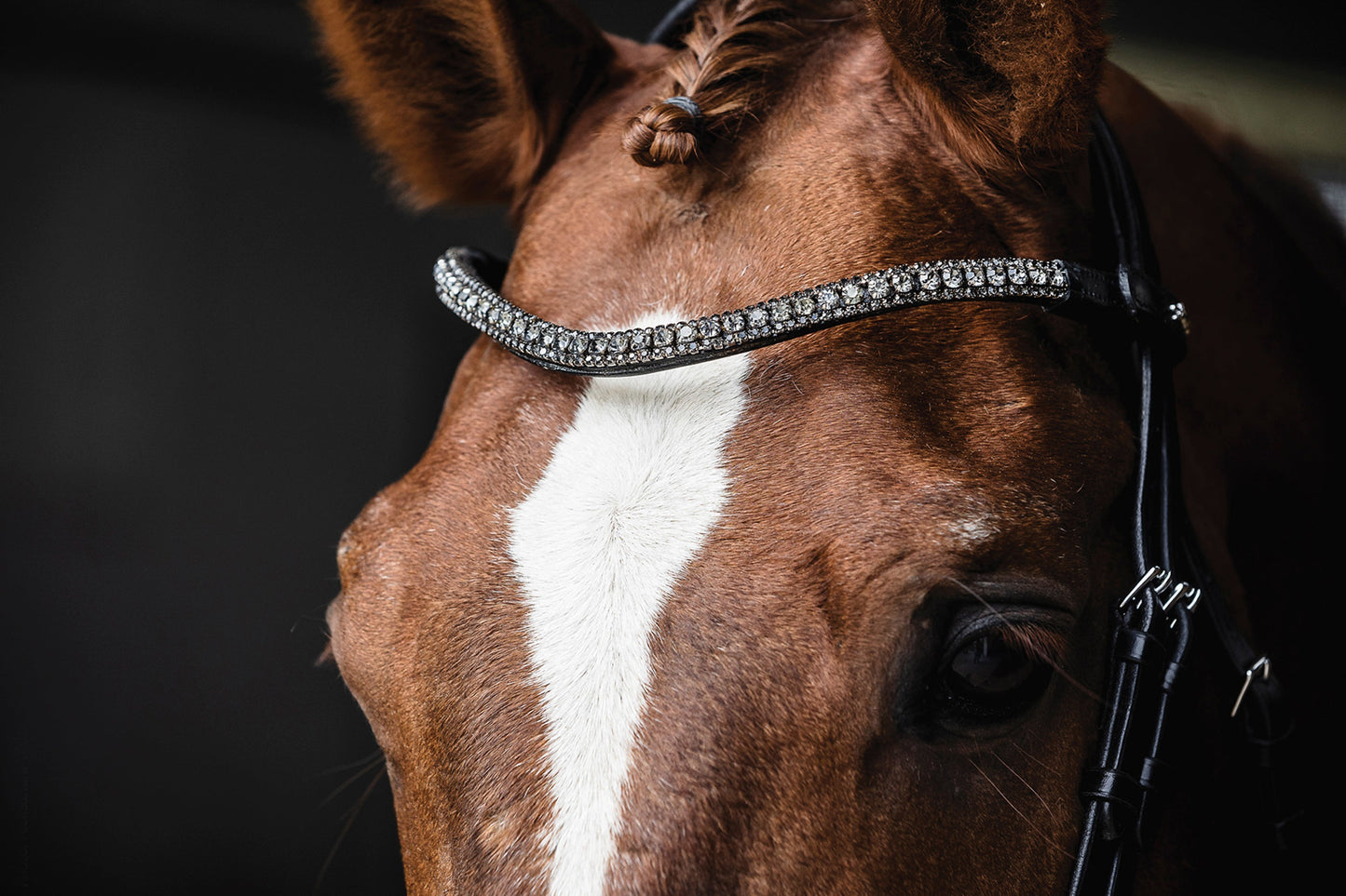 Malaga Bridle