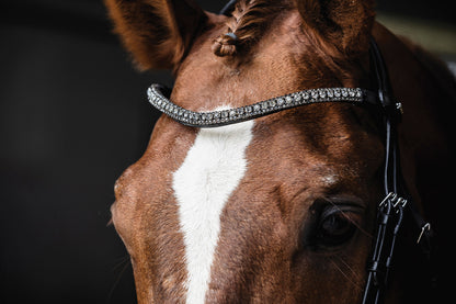 Malaga Bridle