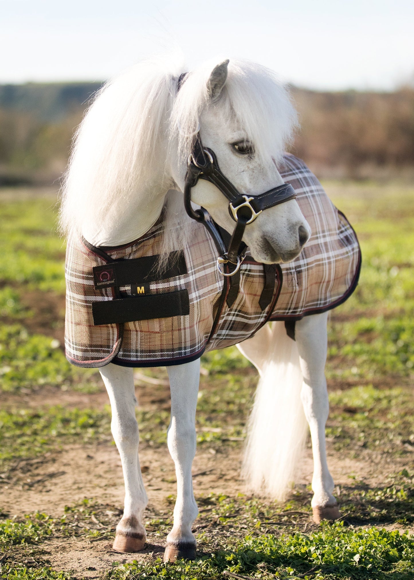 Protective Fly Sheet