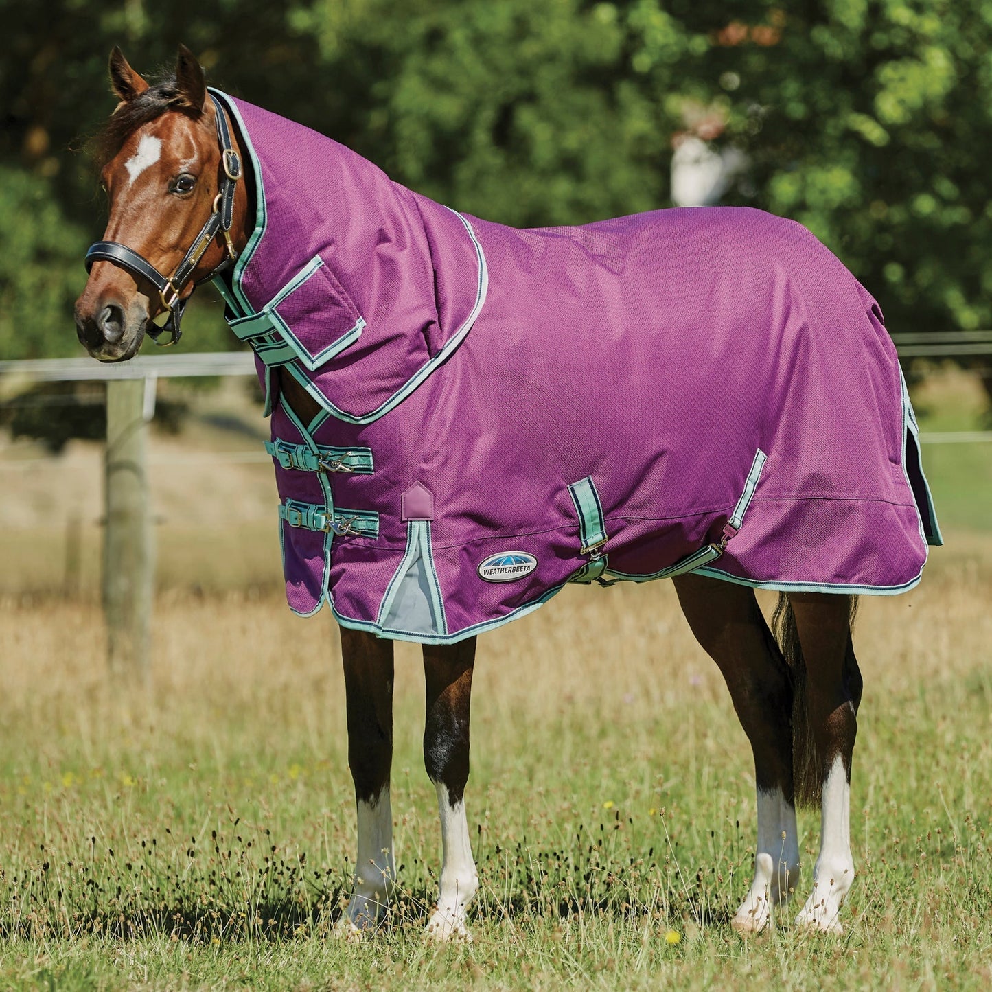 Premier Free II Detach-A-Neck Medium-Weight Turnout Blanket