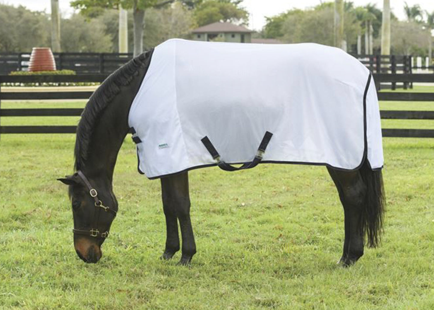Fly Sheet
