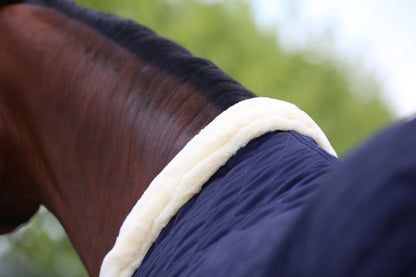 Show Rug