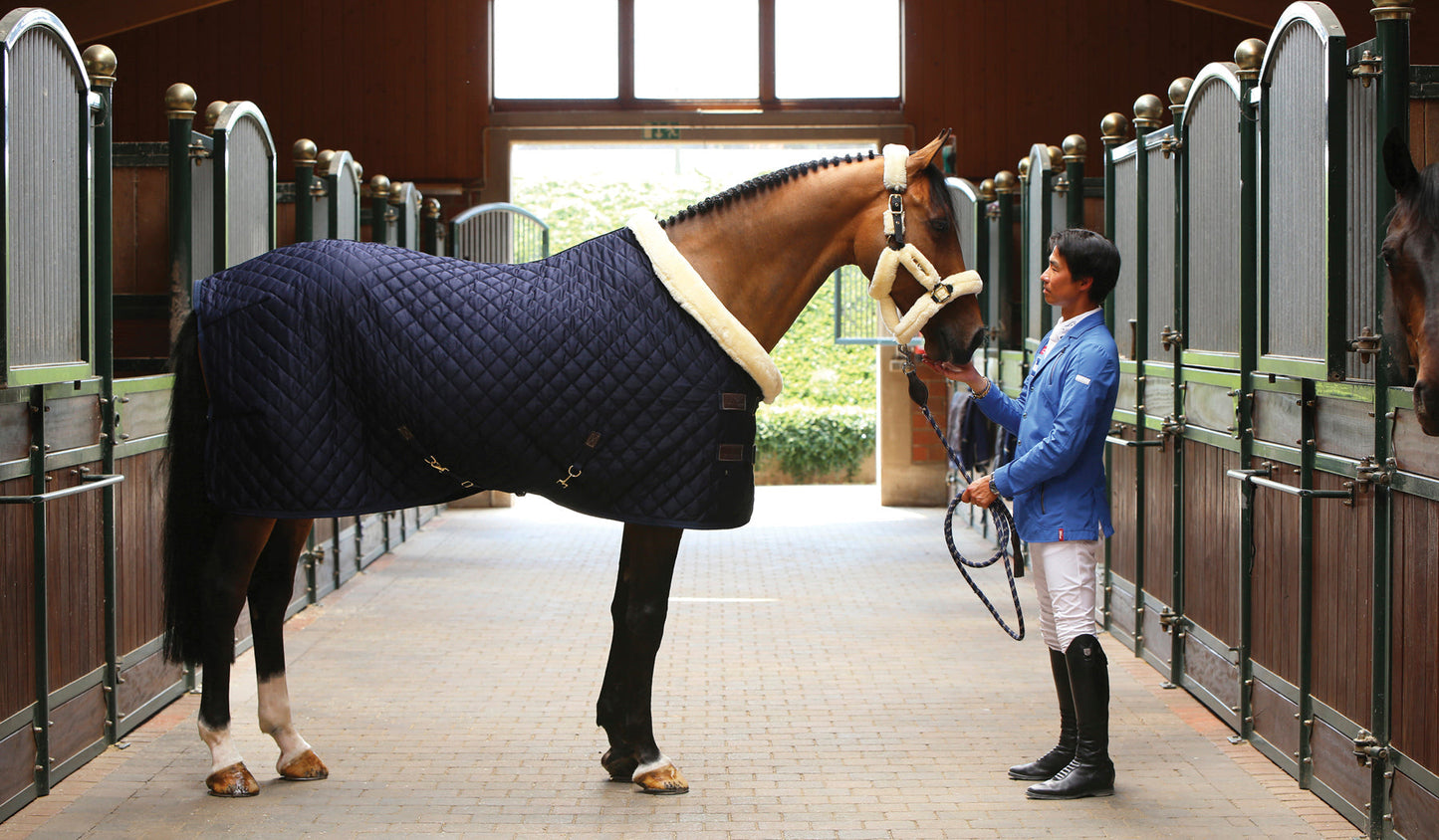Show Rug