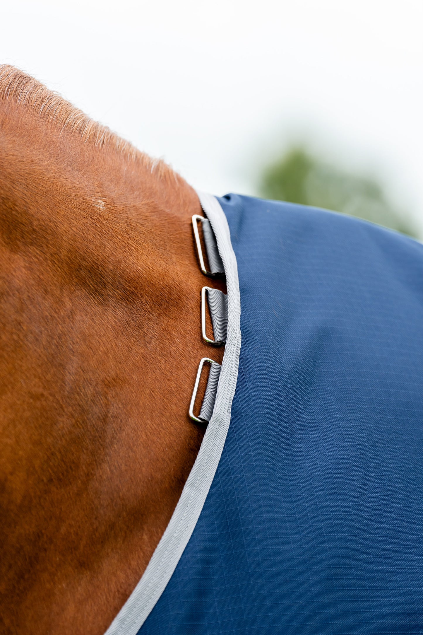 Ripstop 900D 200 Gram Standard Neck Turnout