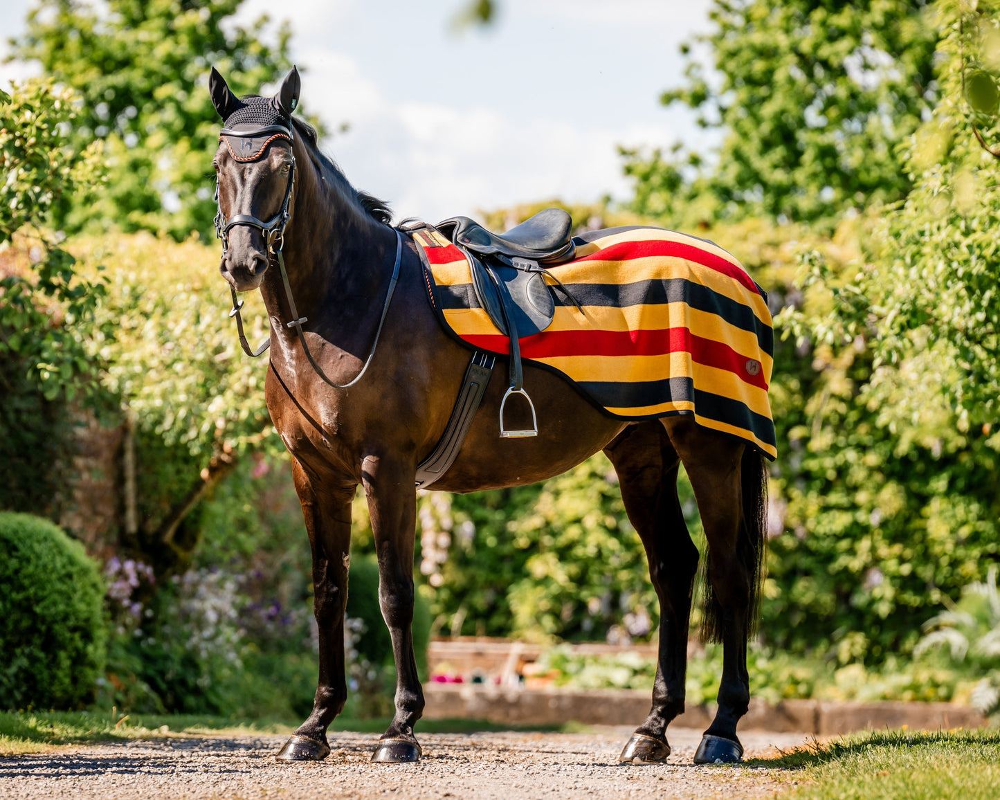 Ireland Newmarket Exercise Sheet