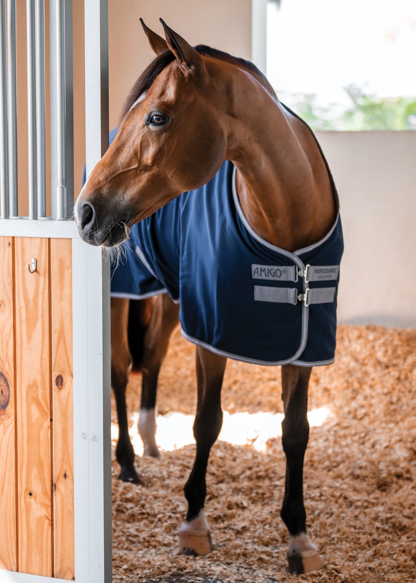 Stable Sheet–Core Color